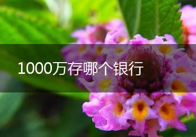 1000万存哪个银行