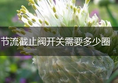 节流截止阀开关需要多少圈