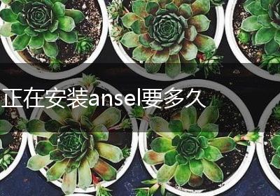 正在安装ansel要多久