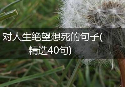 对人生绝望想死的句子(精选40句)