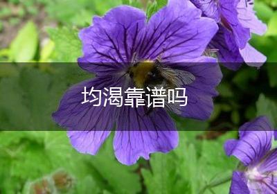 均渴靠谱吗
