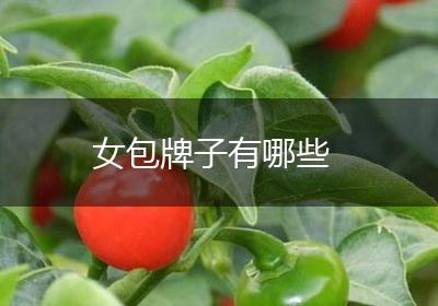 女包牌子有哪些