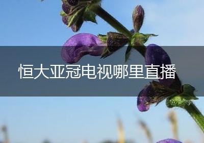 恒大亚冠电视哪里直播