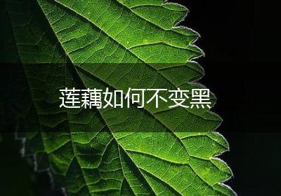 莲藕如何不变黑