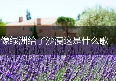 像绿洲给了沙漠这是什么歌