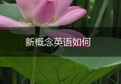 新概念英语如何