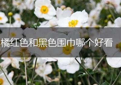 橘红色和黑色围巾哪个好看