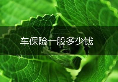 车保险一般多少钱