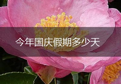 今年国庆假期多少天