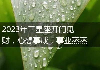 2023年三星座开门见财，心想事成，事业蒸蒸日上