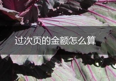 过次页的金额怎么算