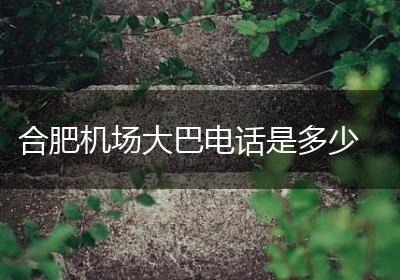 合肥机场大巴电话是多少