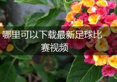 哪里可以下载最新足球比赛视频
