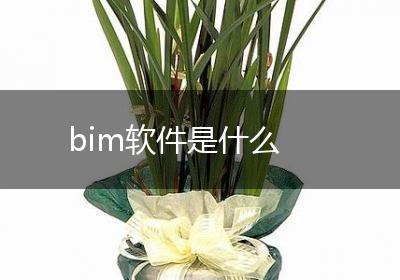 bim软件是什么