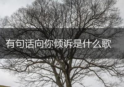 有句话向你倾诉是什么歌