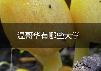 温哥华有哪些大学
