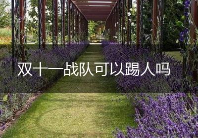 双十一战队可以踢人吗