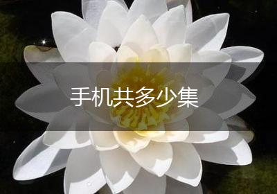 手机共多少集