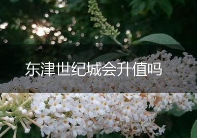 东津世纪城会升值吗