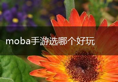 moba手游选哪个好玩