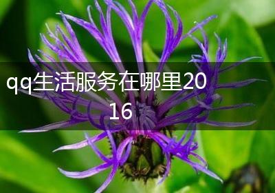 qq生活服务在哪里2016