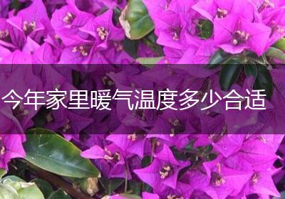 今年家里暖气温度多少合适