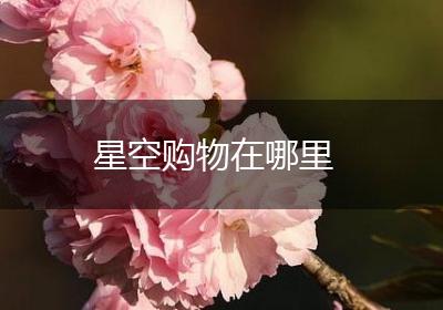 星空购物在哪里
