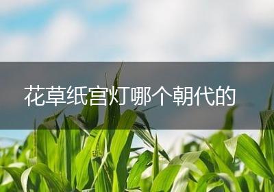 花草纸宫灯哪个朝代的
