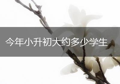 今年小升初大约多少学生
