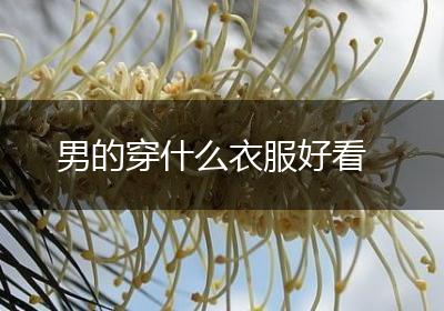 男的穿什么衣服好看