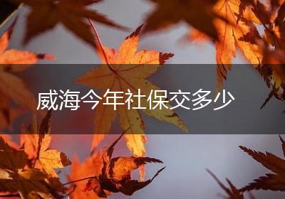 威海今年社保交多少