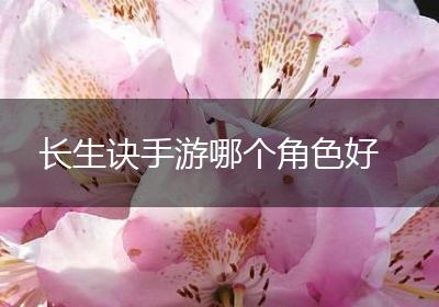 长生诀手游哪个角色好