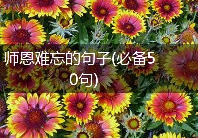 师恩难忘的句子(必备50句)