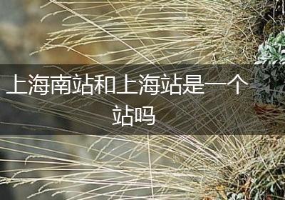 上海南站和上海站是一个站吗