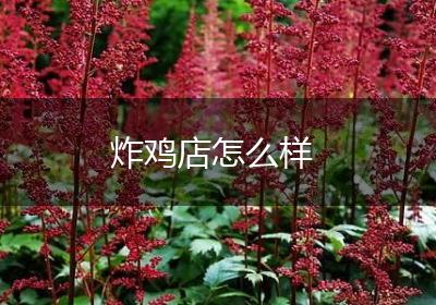 炸鸡店怎么样