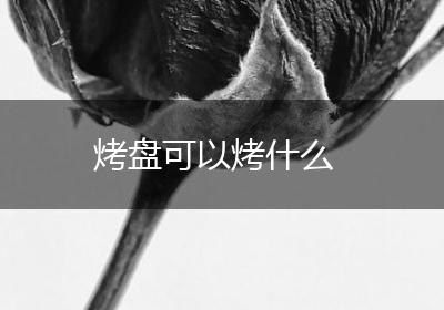 烤盘可以烤什么