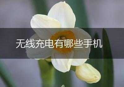 无线充电有哪些手机