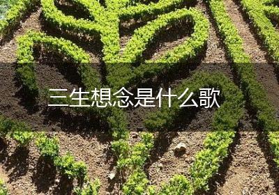 三生想念是什么歌