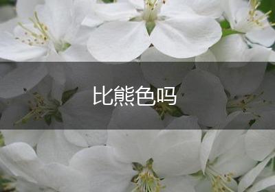 比熊色吗