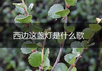西边这盏灯是什么歌