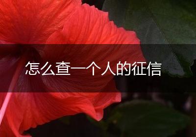 怎么查一个人的征信