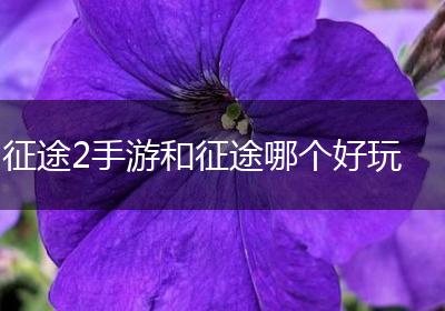 征途2手游和征途哪个好玩