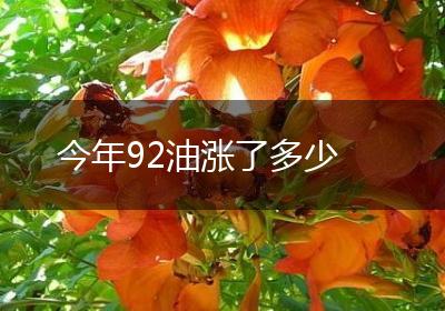 今年92油涨了多少