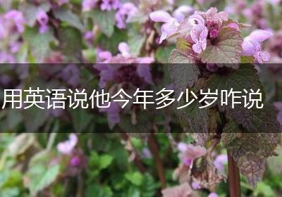 用英语说他今年多少岁咋说