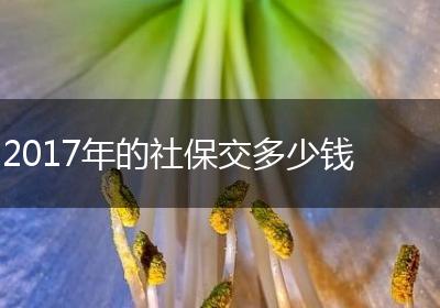 2017年的社保交多少钱