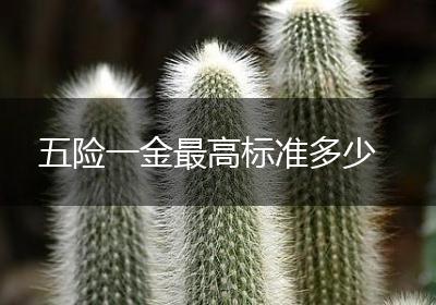 五险一金最高标准多少
