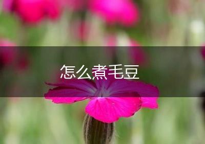 怎么煮毛豆