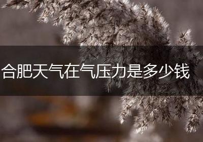 合肥天气在气压力是多少钱