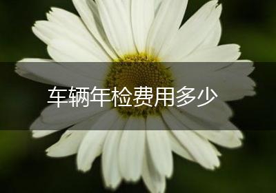 车辆年检费用多少