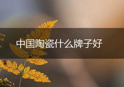 中国陶瓷什么牌子好